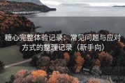糖心完整体验记录：常见问题与应对方式的整理记录（新手向）