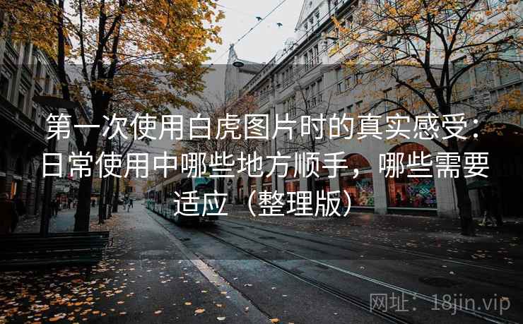 第一次使用白虎图片时的真实感受：日常使用中哪些地方顺手，哪些需要适应（整理版）