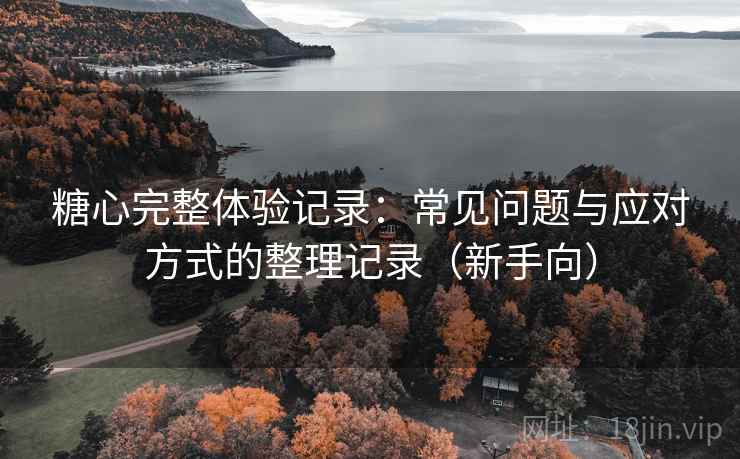 糖心完整体验记录：常见问题与应对方式的整理记录（新手向）