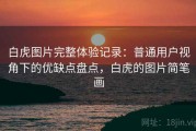 白虎图片完整体验记录：普通用户视角下的优缺点盘点，白虎的图片简笔画