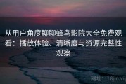 从用户角度聊聊蜂鸟影院大全免费观看：播放体验、清晰度与资源完整性观察