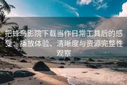 把蜂鸟影院下载当作日常工具后的感受：播放体验、清晰度与资源完整性观察