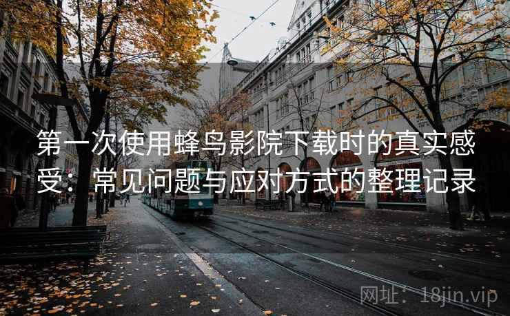 第一次使用蜂鸟影院下载时的真实感受：常见问题与应对方式的整理记录