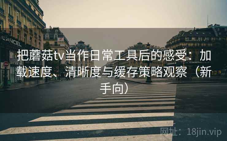 把蘑菇tv当作日常工具后的感受：加载速度、清晰度与缓存策略观察（新手向）