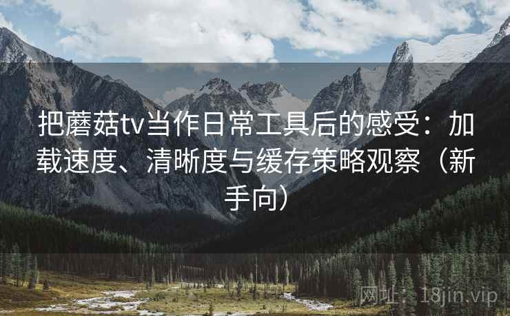 把蘑菇tv当作日常工具后的感受：加载速度、清晰度与缓存策略观察（新手向）