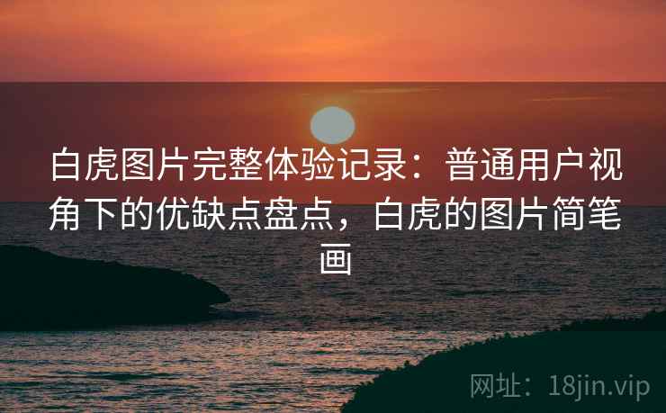 白虎图片完整体验记录：普通用户视角下的优缺点盘点，白虎的图片简笔画