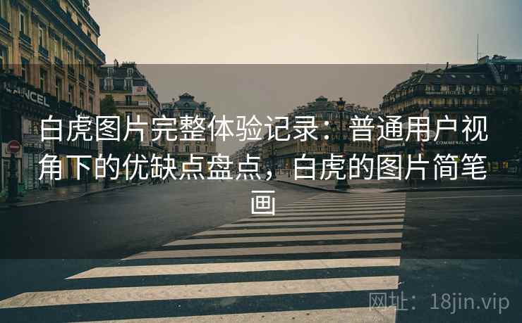 白虎图片完整体验记录：普通用户视角下的优缺点盘点，白虎的图片简笔画